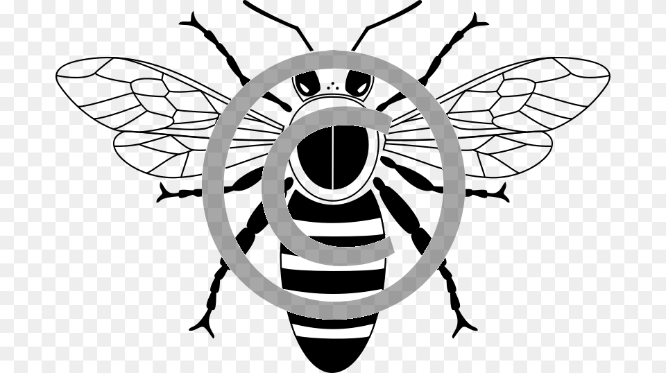 Bee, Animal, Insect, Invertebrate, Wasp Png Image