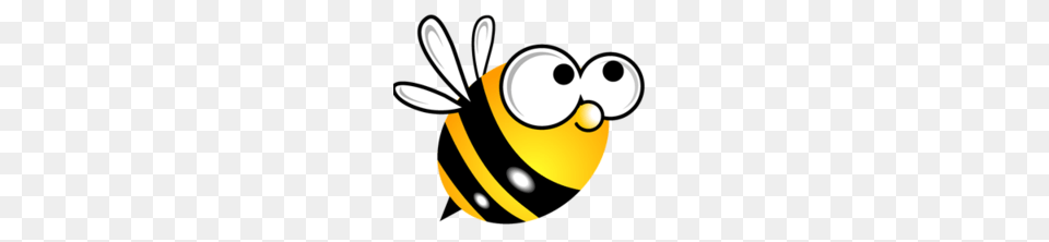 Bee, Animal, Honey Bee, Insect, Invertebrate Free Transparent Png