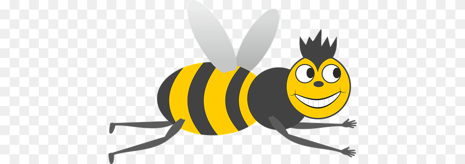 Bee Animal, Honey Bee, Insect, Invertebrate Png Image