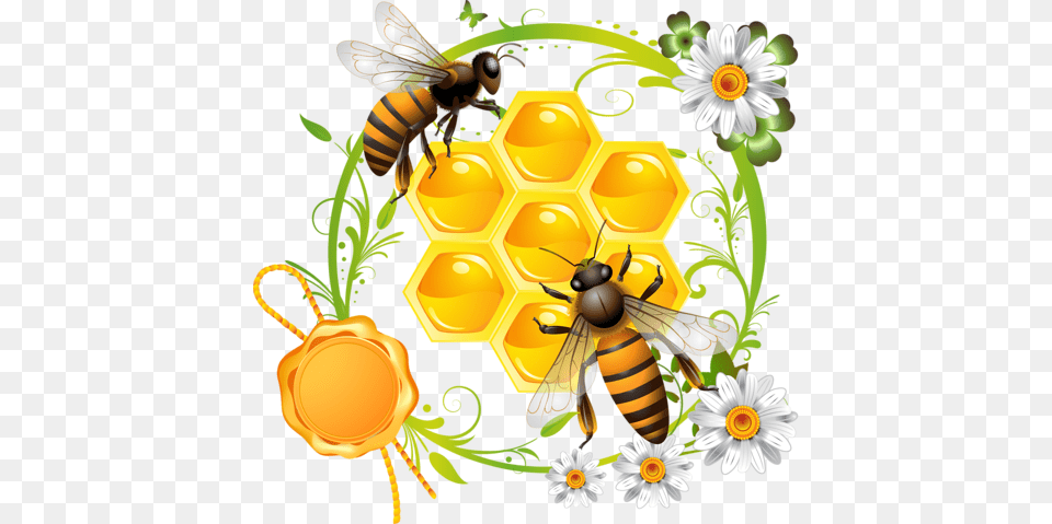 Bee, Animal, Honey Bee, Insect, Invertebrate Free Transparent Png