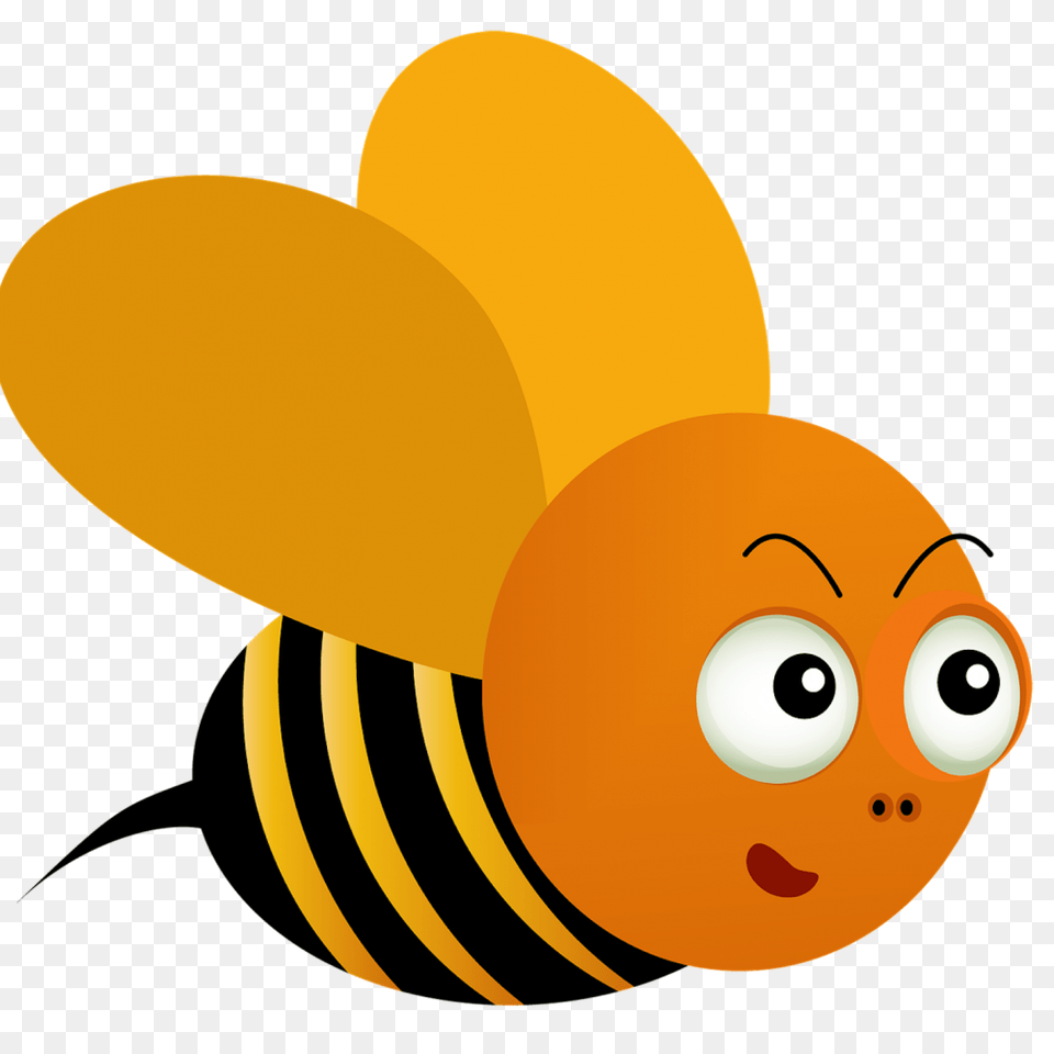Bee, Animal, Sea Life, Fish, Goldfish Free Png Download