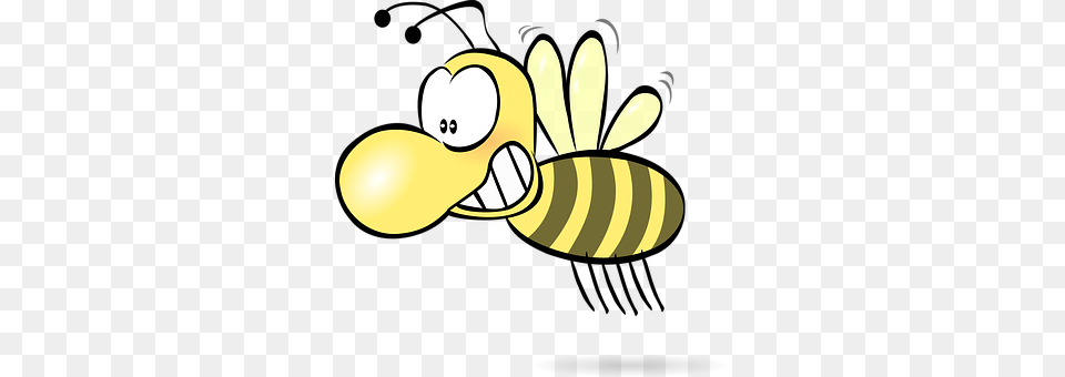 Bee Animal, Honey Bee, Insect, Invertebrate Free Transparent Png