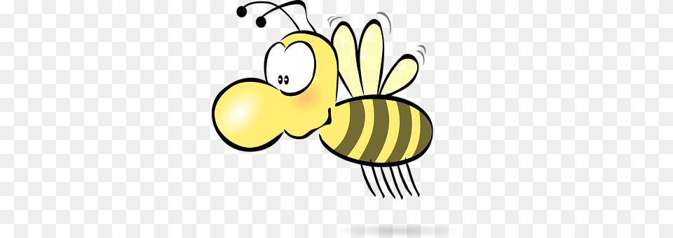 Bee Animal, Invertebrate, Insect, Honey Bee Free Png
