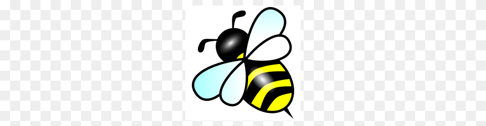 Bee, Animal, Insect, Invertebrate, Wasp Free Png Download