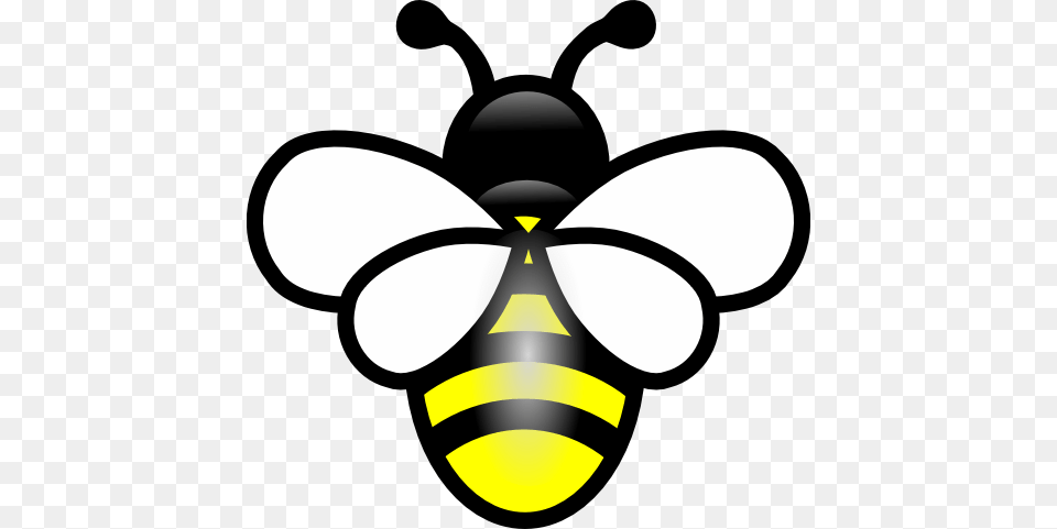 Bee, Animal, Invertebrate, Insect, Wasp Free Transparent Png