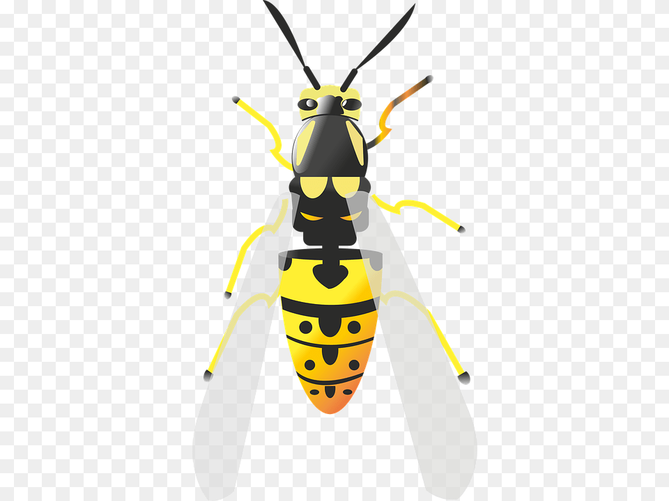 Bee Animal, Insect, Invertebrate, Wasp Png Image