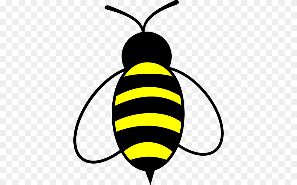 Bee, Animal, Insect, Invertebrate, Wasp Free Transparent Png