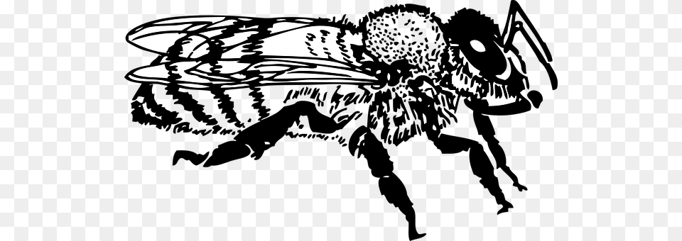 Bee Animal, Insect, Invertebrate, Wasp Free Transparent Png