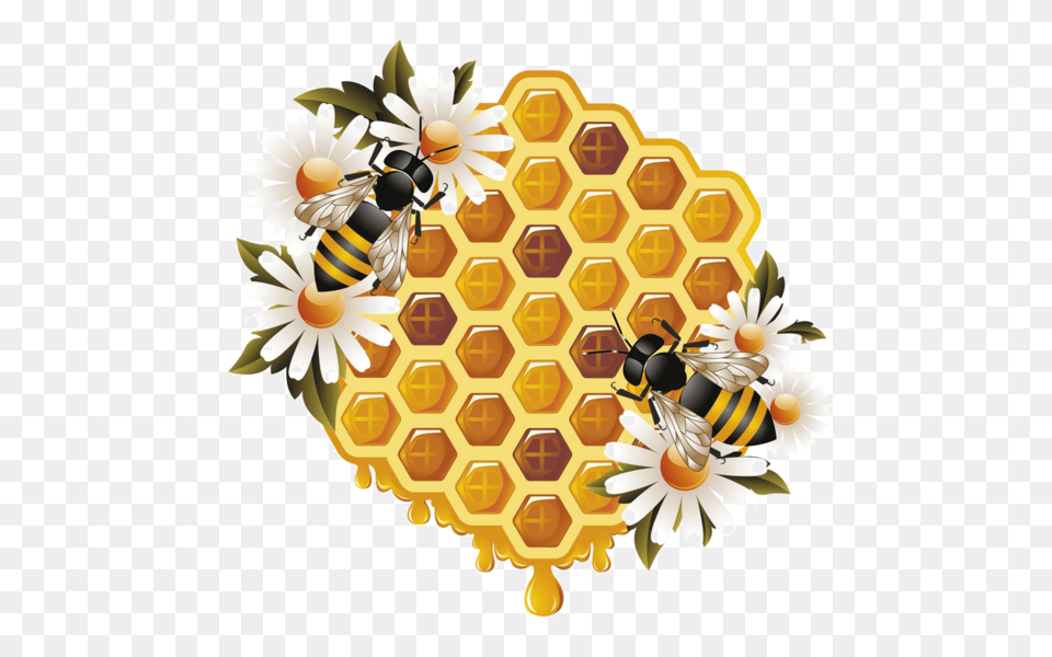 Bee, Animal, Invertebrate, Insect, Honey Bee Free Png Download