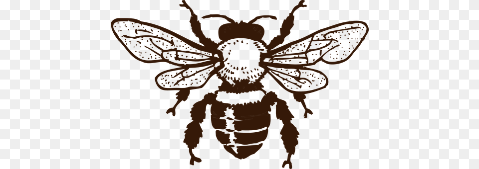 Bee Animal, Wasp, Invertebrate, Insect Free Png