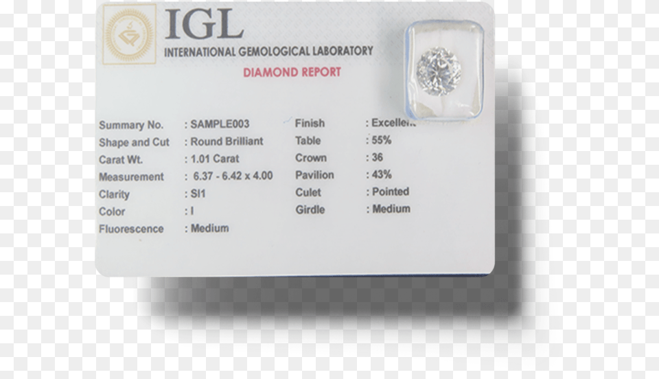 Bee, Text, Document, Driving License, Id Cards Free Png