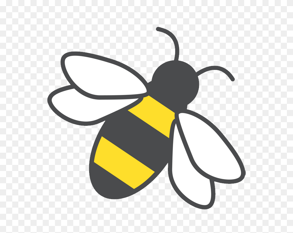 Bee, Animal, Honey Bee, Insect, Invertebrate Png