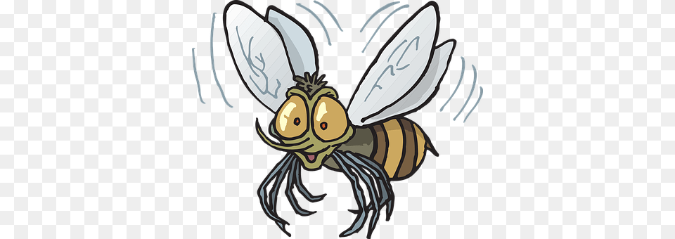 Bee Animal, Honey Bee, Insect, Invertebrate Free Png