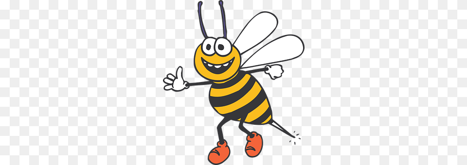 Bee Animal, Honey Bee, Insect, Invertebrate Free Transparent Png