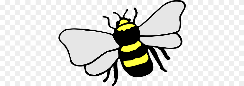Bee Animal, Invertebrate, Insect, Wasp Png Image