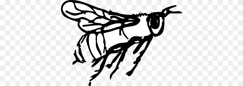 Bee Animal, Insect, Invertebrate, Stencil Free Png