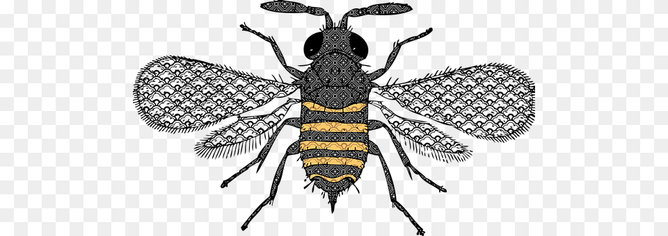 Bee Animal, Insect, Invertebrate, Wasp Free Transparent Png