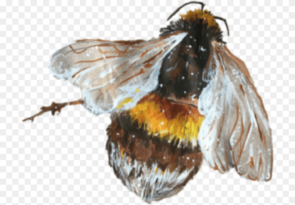 Bee Abeja Art Tumblr Tumblraesthetic Aesthetic Tumblr Bee, Animal, Apidae, Insect, Invertebrate Png Image