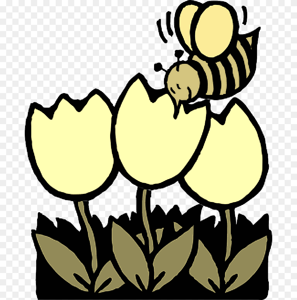 Bee And Flower Drawing, Animal, Invertebrate, Insect, Honey Bee Free Png
