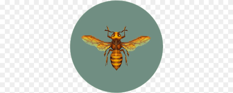 Bee Animal Crossing Wiki Fandom Animal Crossing Bee, Insect, Invertebrate, Wasp, Honey Bee Png Image