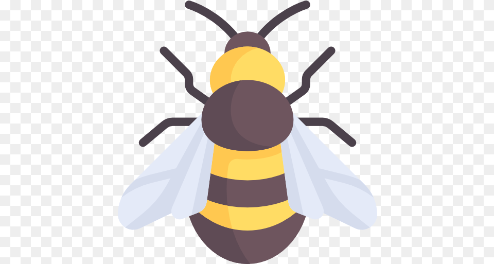 Bee Animals Icons Bee Flat Icon, Animal, Insect, Invertebrate, Wasp Png Image