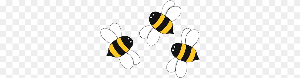 Bee Bees Cartoon Transparent Background, Animal, Honey Bee, Insect, Invertebrate Png Image