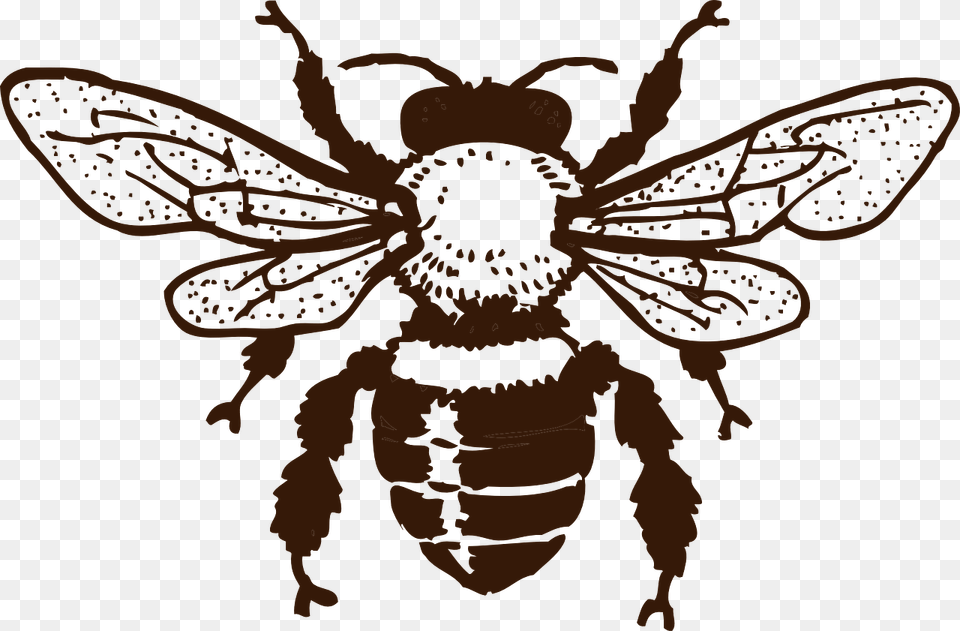 Bee Black And White, Animal, Invertebrate, Insect, Honey Bee Png