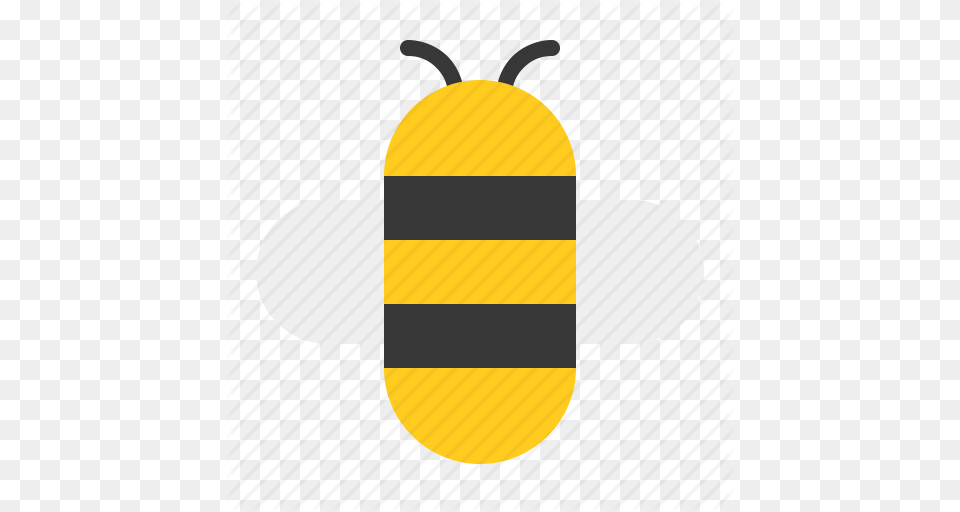 Bee Bumble Bee Honey Insect Icon Free Png
