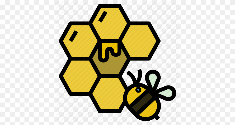 Bee Bumblebee Hive Honey Insect Icon, Food, Animal, Honey Bee, Invertebrate Png Image