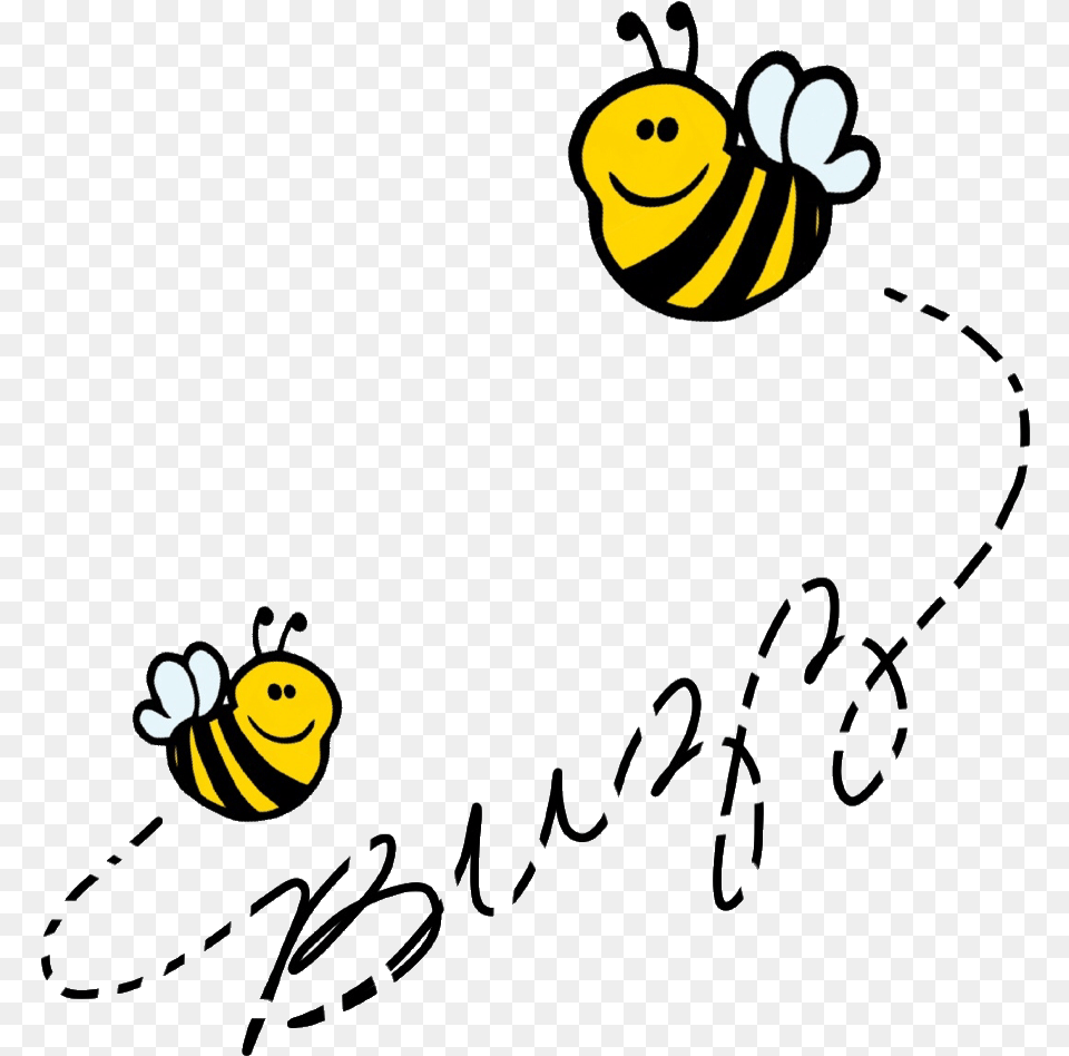 Bee Buzzing, Animal, Insect, Invertebrate, Wasp Png Image