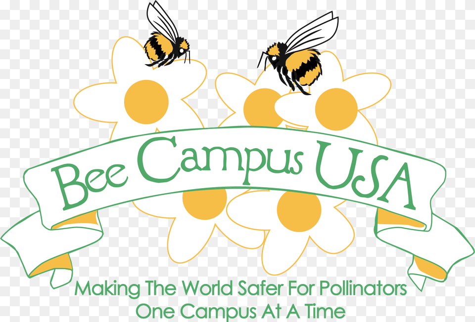 Bee Campus Usa, Animal, Honey Bee, Insect, Invertebrate Png Image