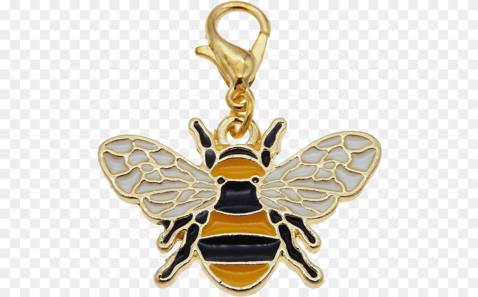 Bee Charm Gold Clasp Beehive Shoppe, Accessories, Animal, Insect, Invertebrate Free Png