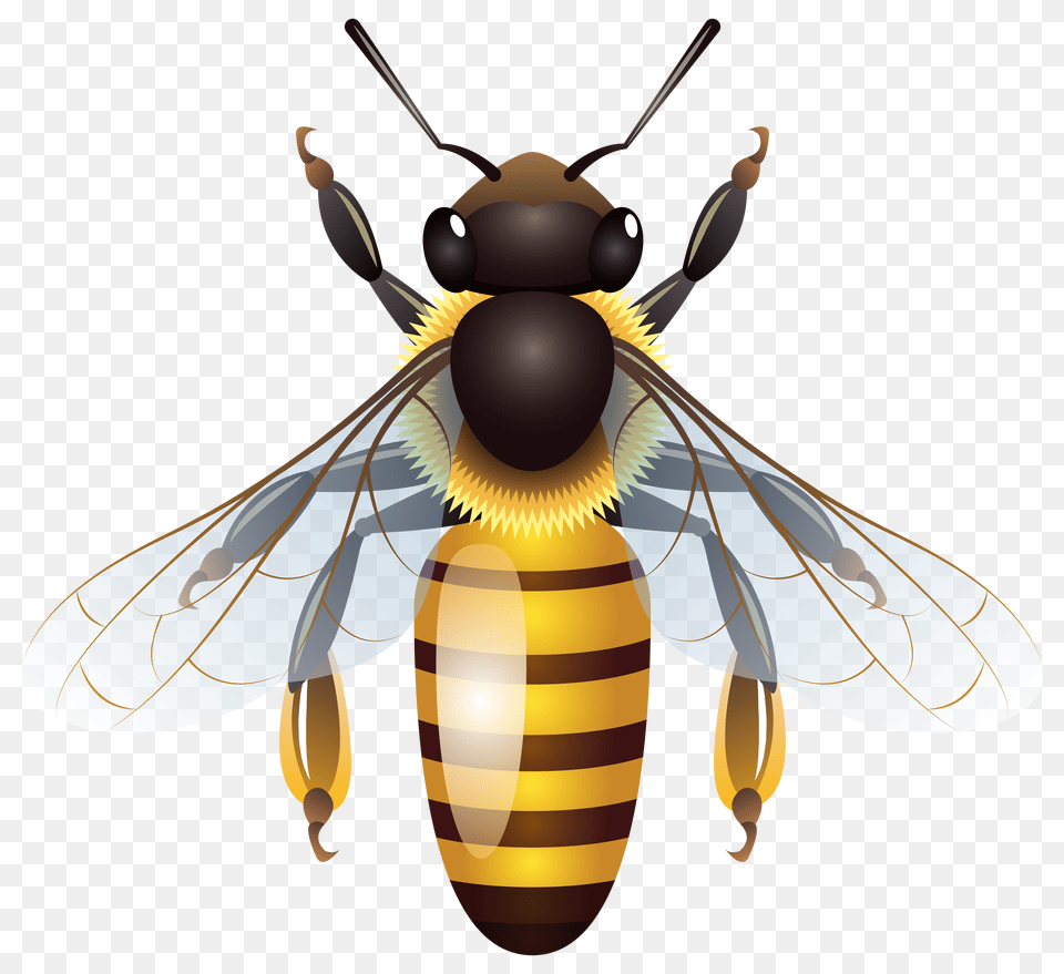 Bee Clip Art Free Png