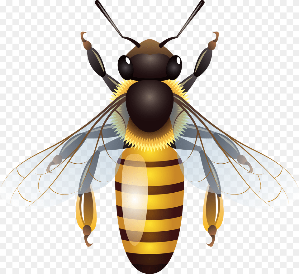 Bee Clip Art, Home Decor, Text Free Png