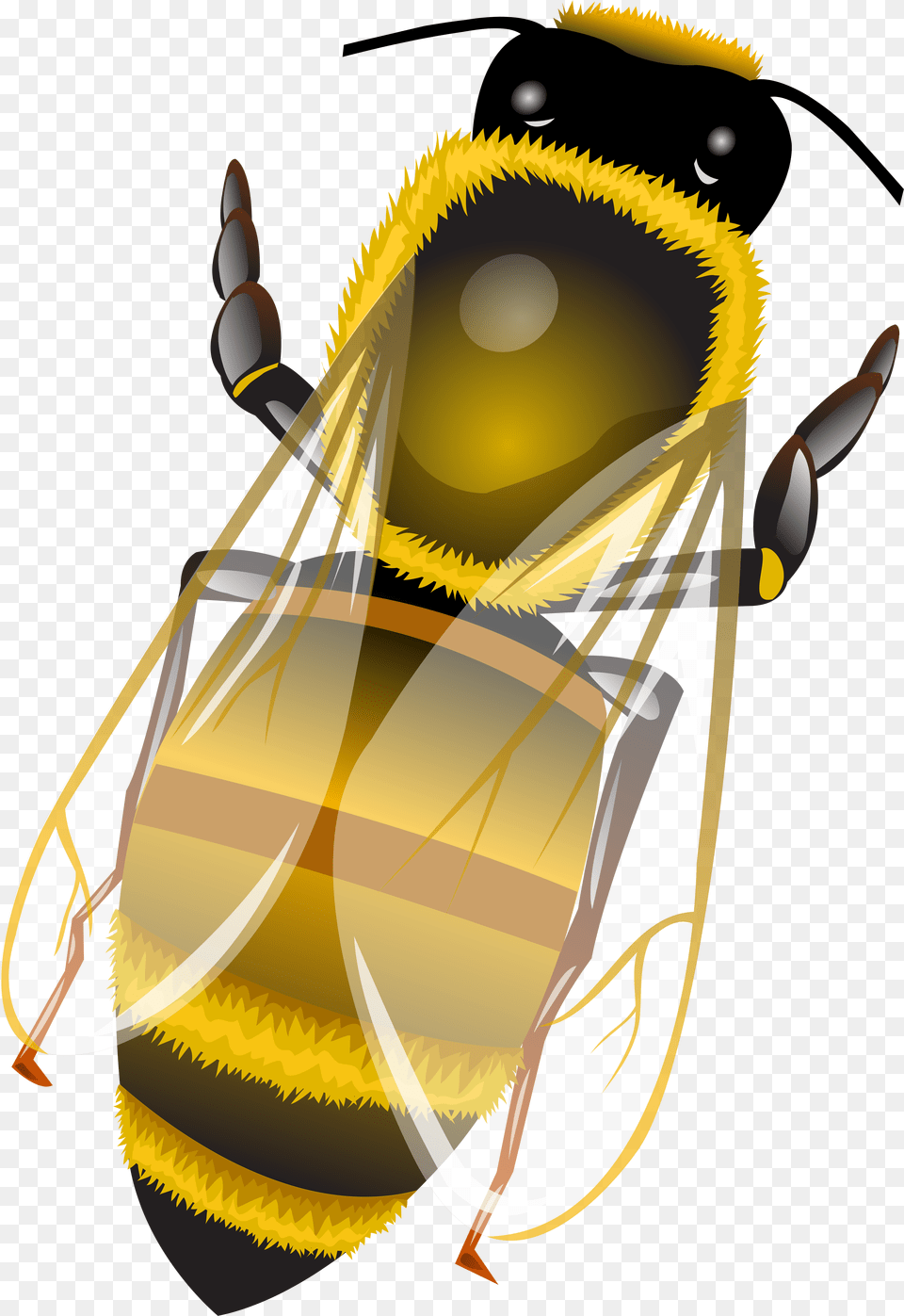 Bee Clip Art Illustration, Animal, Honey Bee, Insect, Invertebrate Free Transparent Png