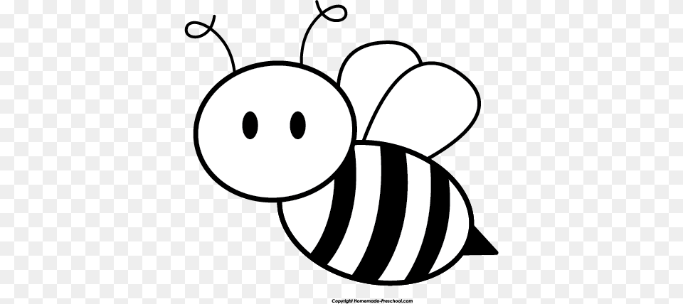 Bee Clipart, Animal, Honey Bee, Insect, Invertebrate Png Image
