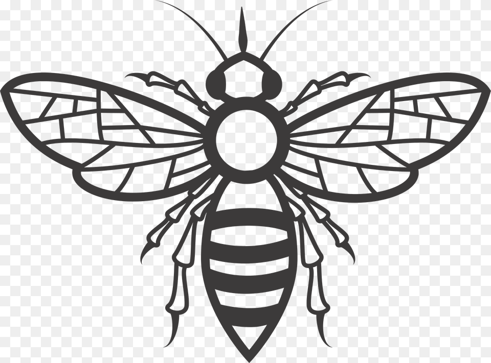 Bee Clipart, Animal, Insect, Invertebrate, Wasp Free Png Download