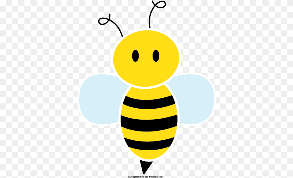 Bee Clipart, Animal, Honey Bee, Insect, Invertebrate Free Png
