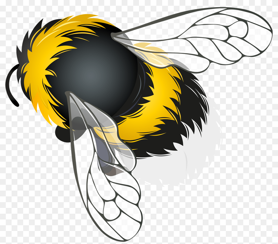 Bee Clipart, Animal, Apidae, Bumblebee, Insect Png Image