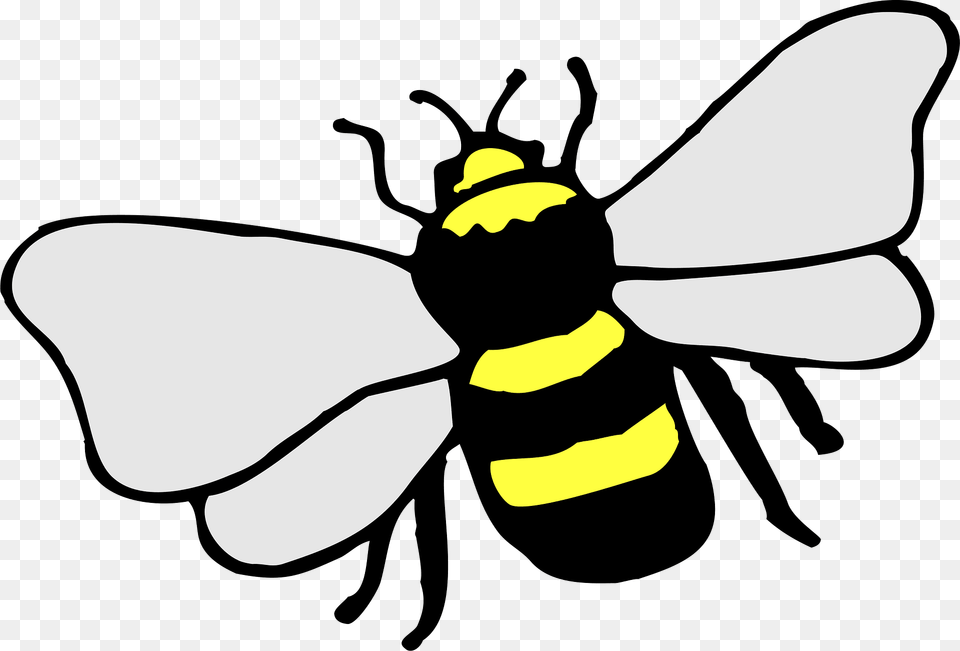 Bee Clipart, Animal, Insect, Invertebrate, Wasp Png