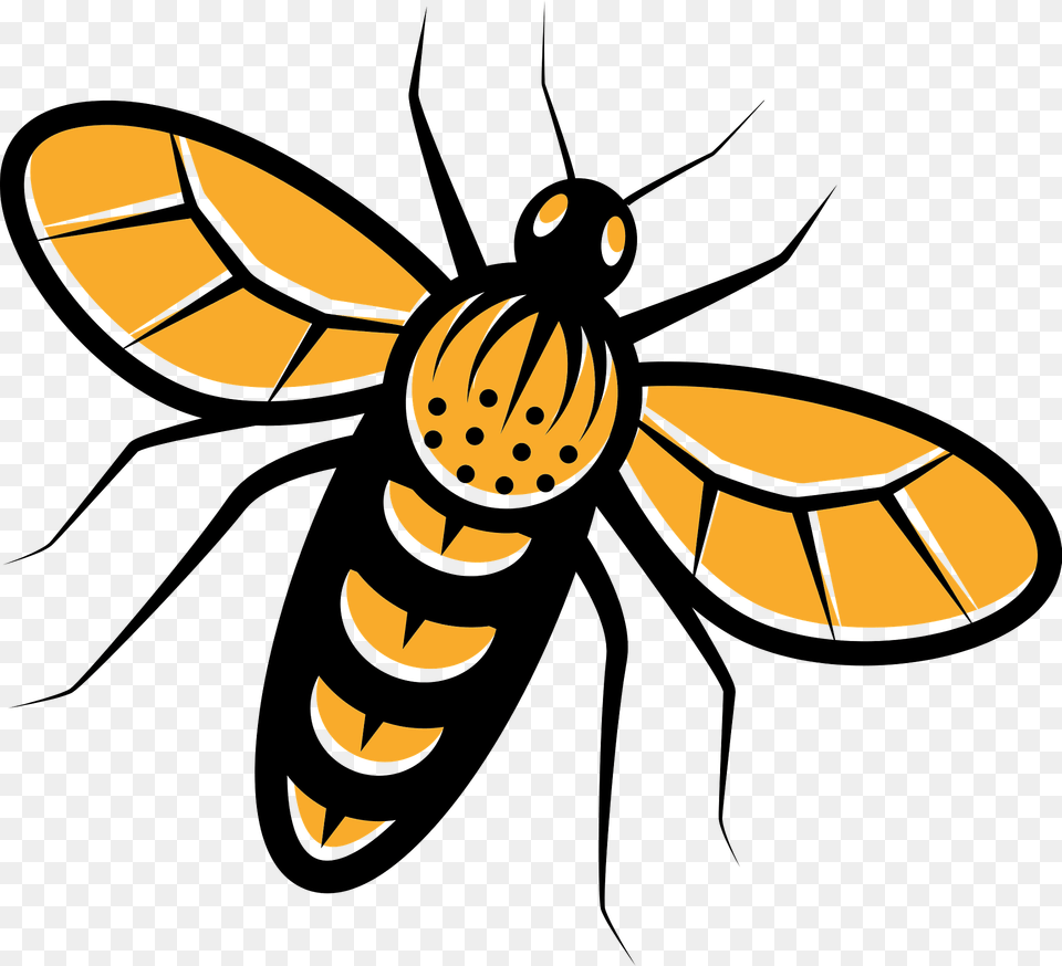 Bee Clipart, Animal, Insect, Invertebrate, Wasp Png Image