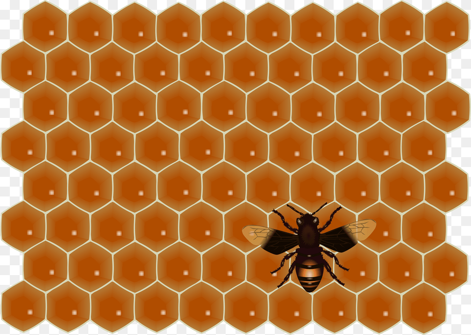 Bee Clipart, Food, Honey, Honeycomb, Animal Free Png