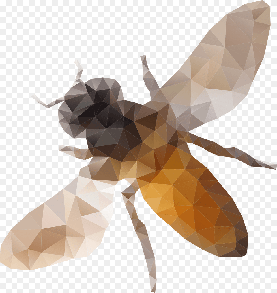 Bee Clipart, Animal, Insect, Invertebrate, Wasp Free Png Download
