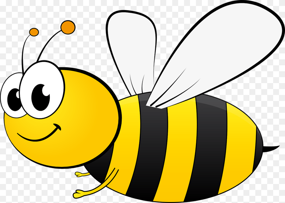Bee Clipart Cartoon Images Of A Bee, Animal, Honey Bee, Insect, Invertebrate Free Png