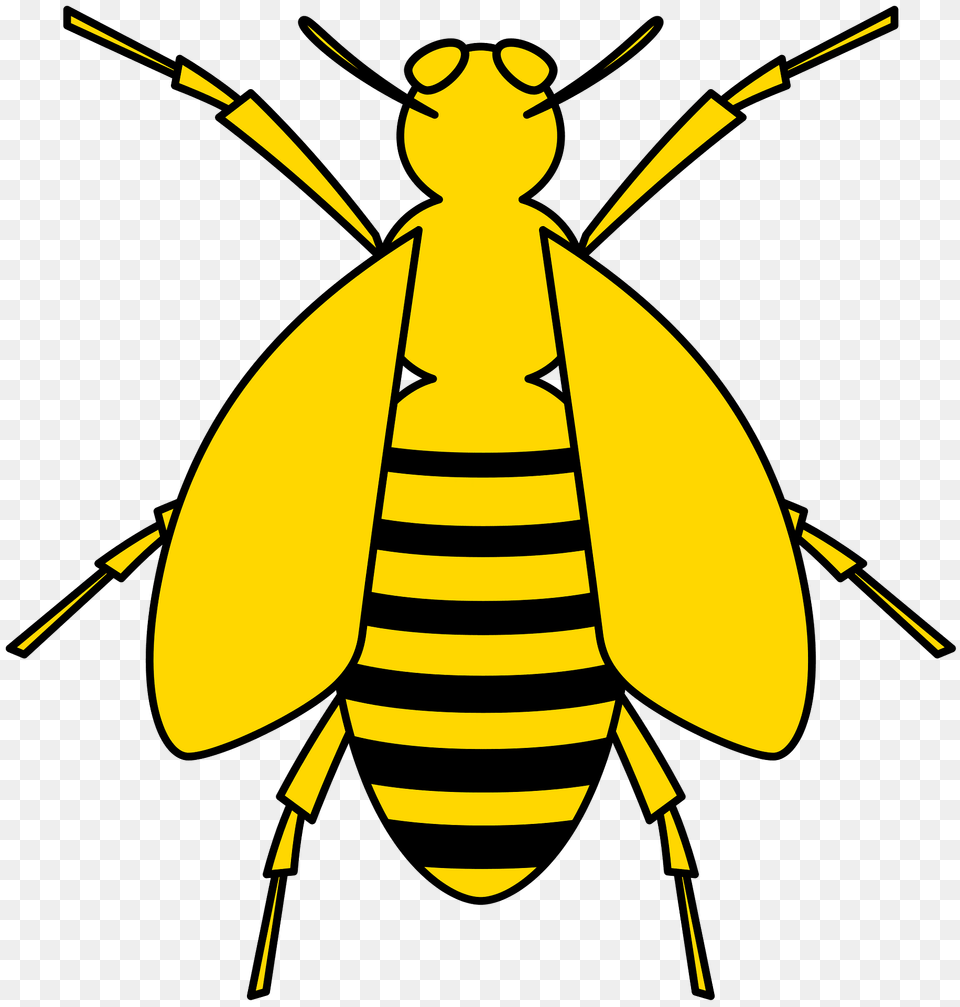 Bee Heraldry Clipart, Animal, Invertebrate, Insect, Wasp Free Transparent Png