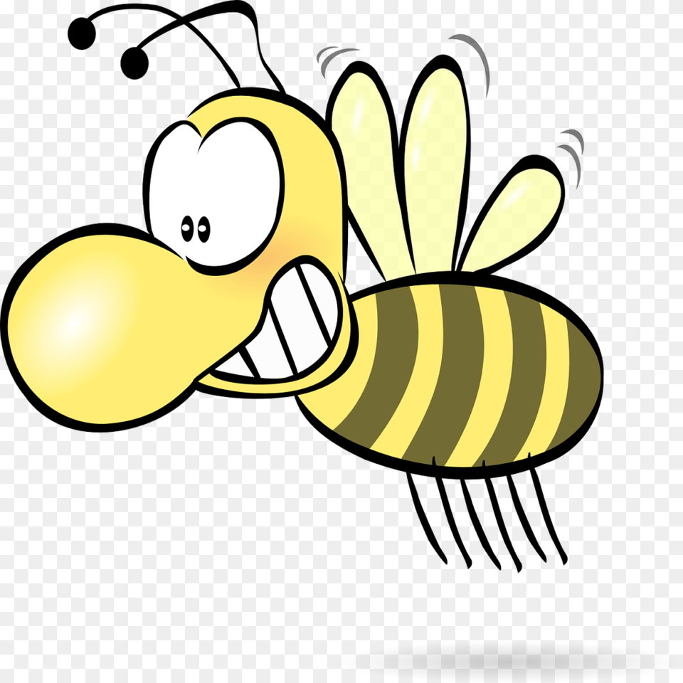 Bee Honey Wasp Hornet Funny Cute Comic Insect Bee With Big Nose, Animal, Honey Bee, Invertebrate Free Transparent Png