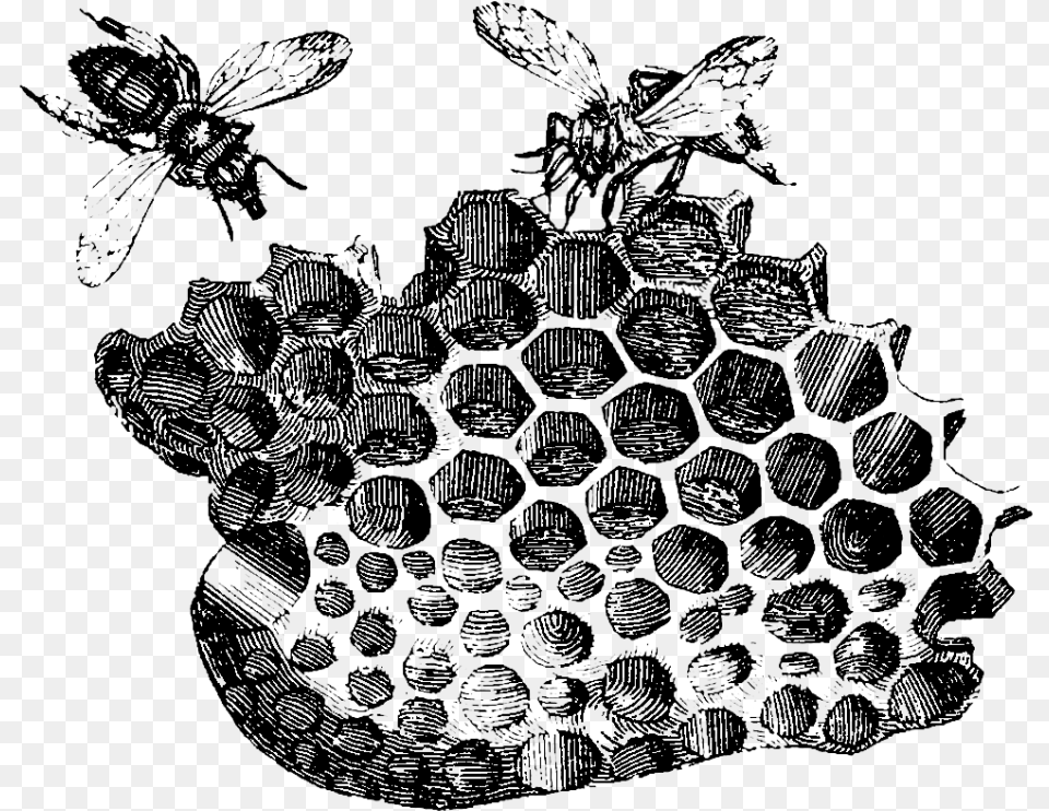 Bee Honeycomb Drawing Honeycomb With Bees Drawing, Art, Outdoors, Nature Png