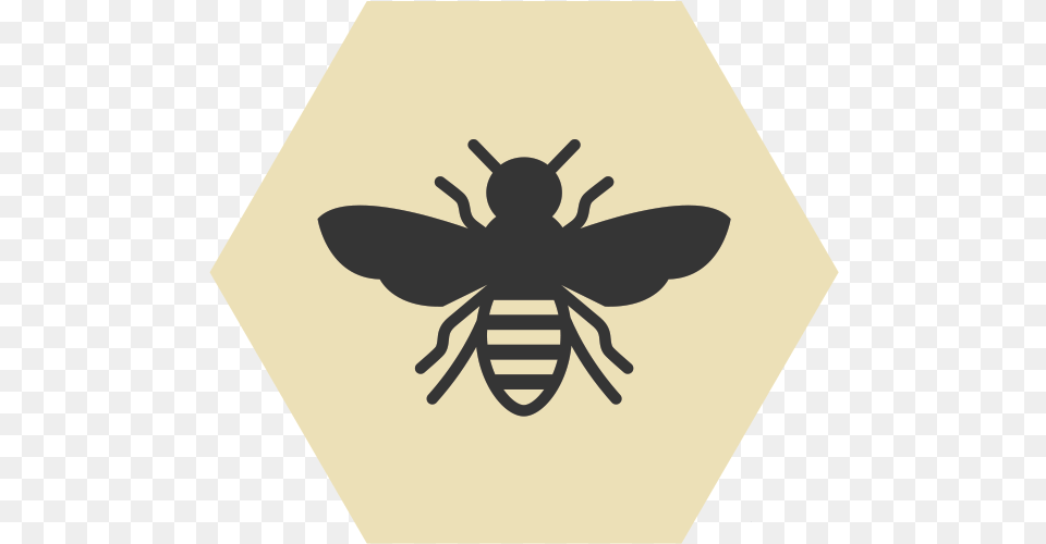 Bee Icon, Animal, Insect, Invertebrate, Wasp Png