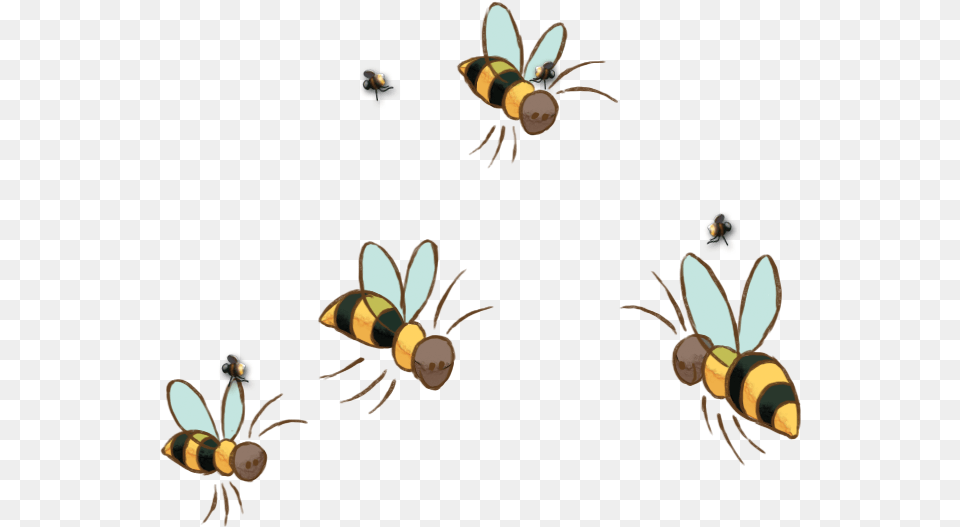 Bee Image Honey Bee Flying Cartoon, Animal, Invertebrate, Insect, Wasp Free Png
