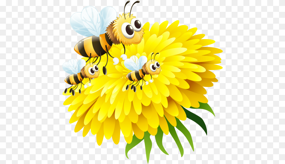 Bee In Flower Honey And Psd 5word Spelling Test, Animal, Honey Bee, Insect, Invertebrate Free Transparent Png